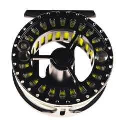 Pool 12 Accelerator -Vis Freaks Verkoop 20191837r 4