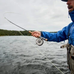 Sage R8 Core -Vis Freaks Verkoop 3904R8r 8