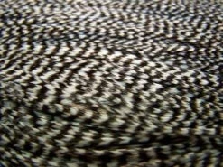 Whiting High & Dry Hackle Cape