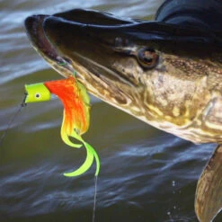 Howitzer Popper Heads -Vis Freaks Verkoop SS HP WLr 3