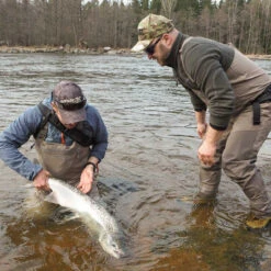 Vision Koski Small Sock -Vis Freaks Verkoop V4800 SSr 8