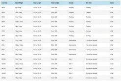 Vision Attack WF 5 Vision Attack WF -Vis Freaks Verkoop VC3Fr 3